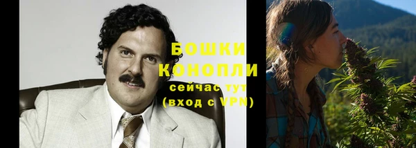 молекула духа Мегион