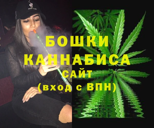 молекула духа Мегион