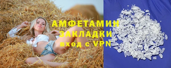 молекула духа Мегион