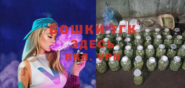 молекула духа Мегион