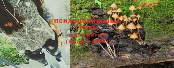 молекула духа Мегион