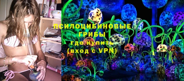 молекула духа Мегион