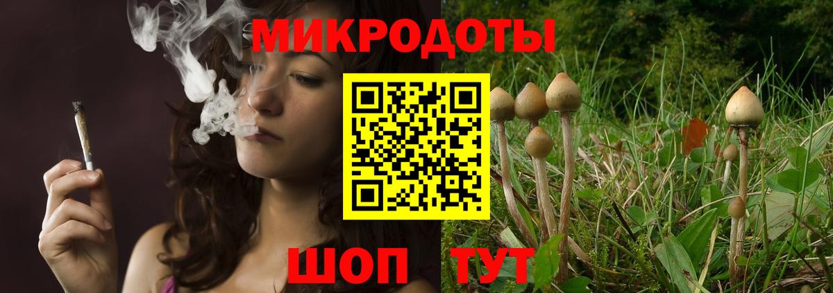 Галлюциногенные грибы Magic Shrooms  Вход с VPN  Галлюциногенные грибы GOLDEN TEACHER  Салават 